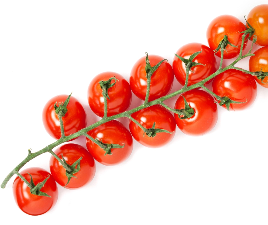 Tomate (Rama, Cherry)
