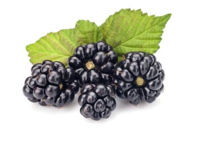 Blackberries