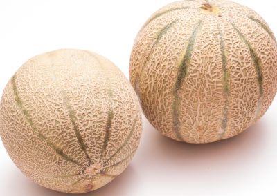 Melon (Charentais, Galia)