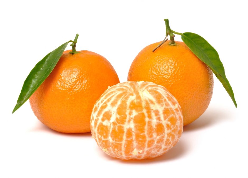 Clementine Season